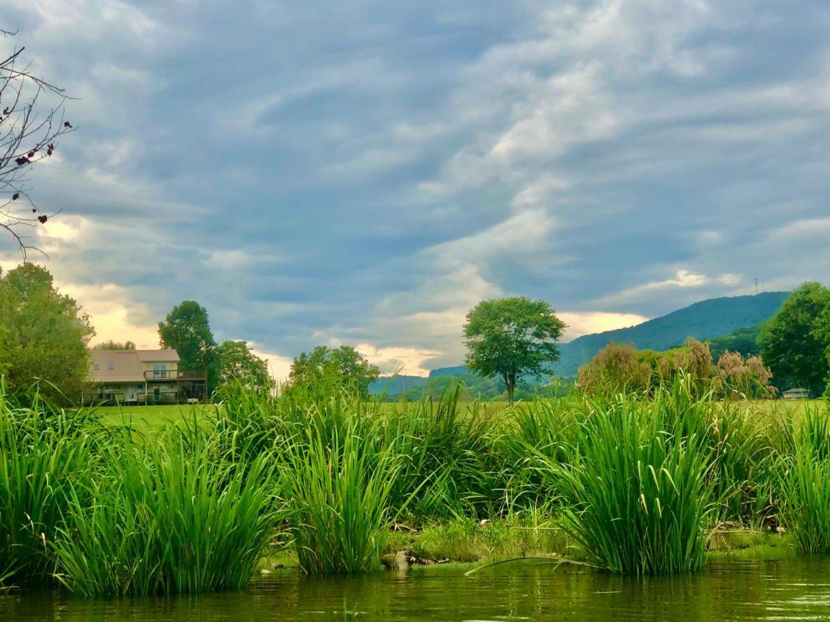 Little River Guest House At Tennessee Riverplace Chattanooga Exteriör bild
