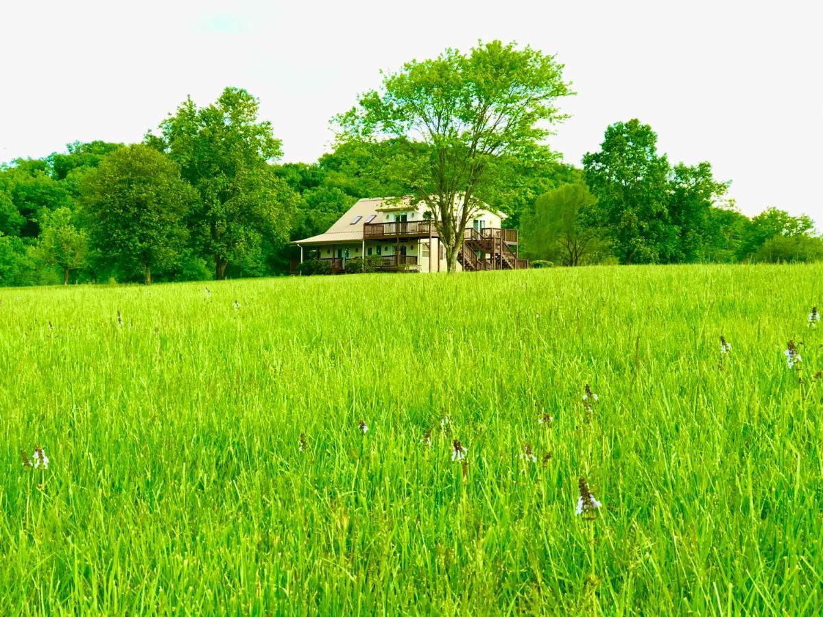 Little River Guest House At Tennessee Riverplace Chattanooga Exteriör bild