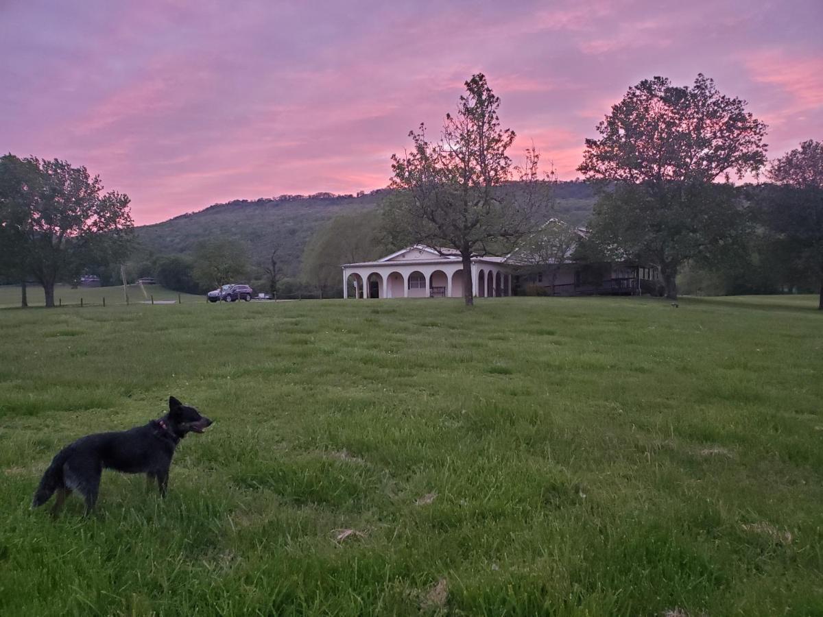 Little River Guest House At Tennessee Riverplace Chattanooga Exteriör bild
